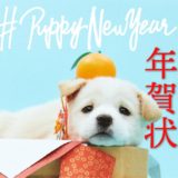 puppy new year画像