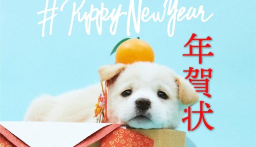 Hpppy new year?ことしはpuppy new year！