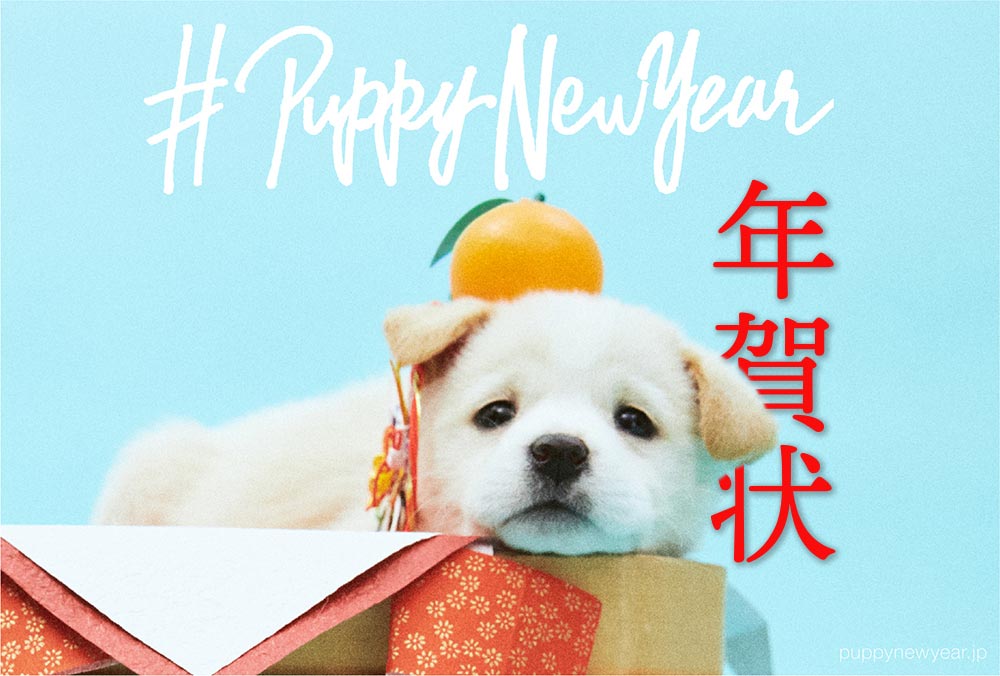 puppy new year画像